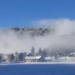 Haus Friedrich 고사우