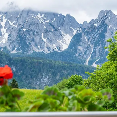 Haus Friedrich Konukevi