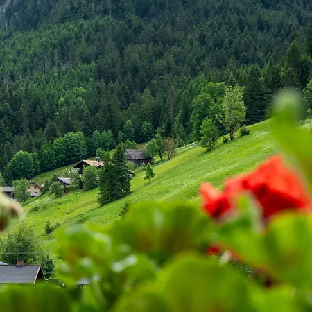 Haus Friedrich 3* Gosau